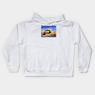 Alabama Hills National Scenic Area, California Kids Hoodie